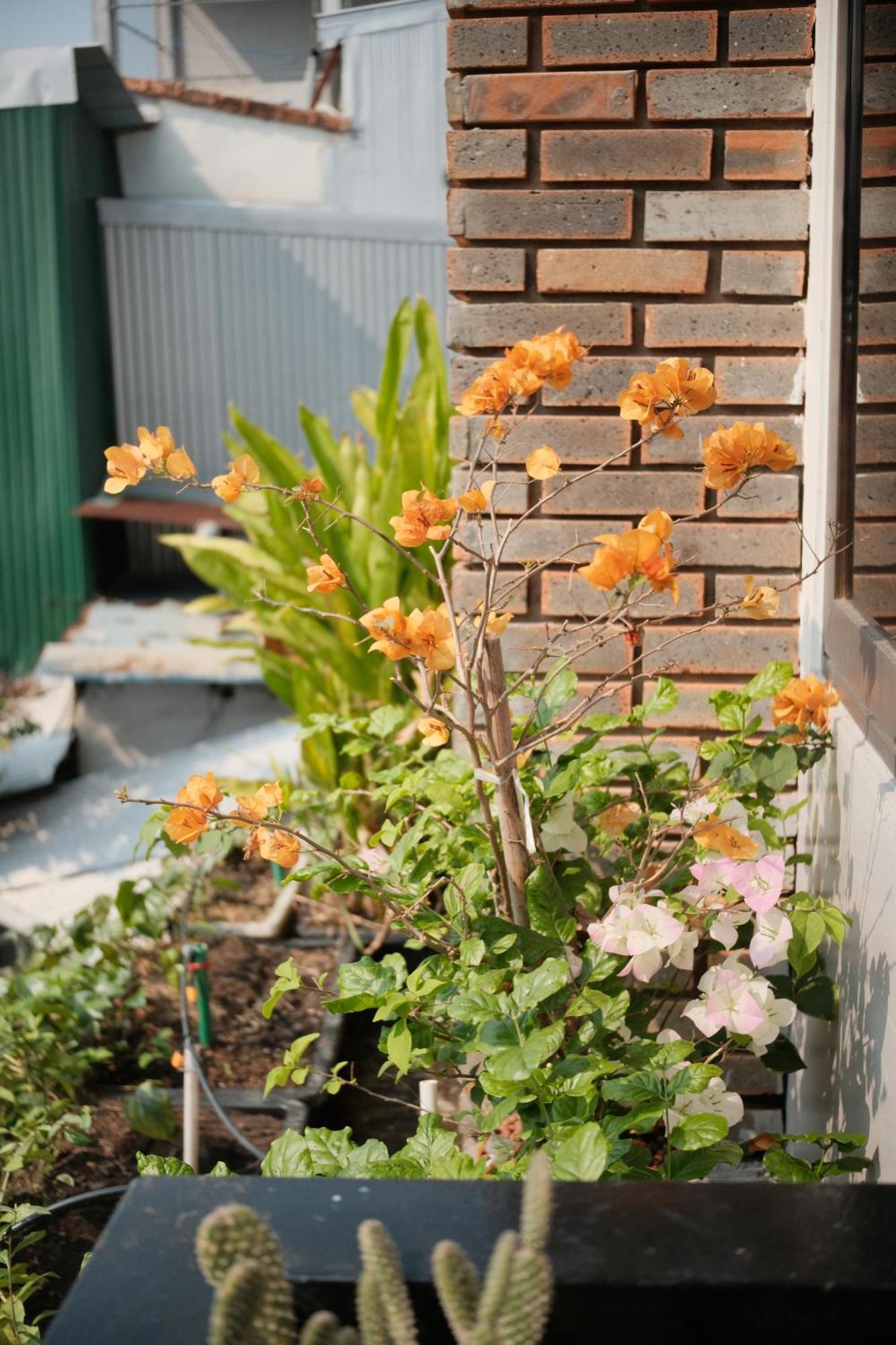 Glory Hue Homestay エクステリア 写真